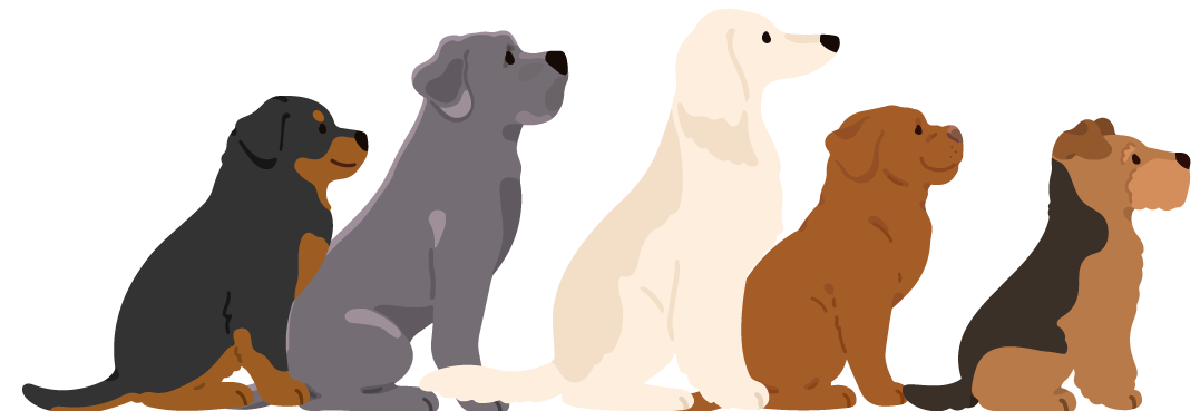 犬のイラスト